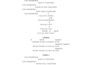 be your songwriter and lyricist